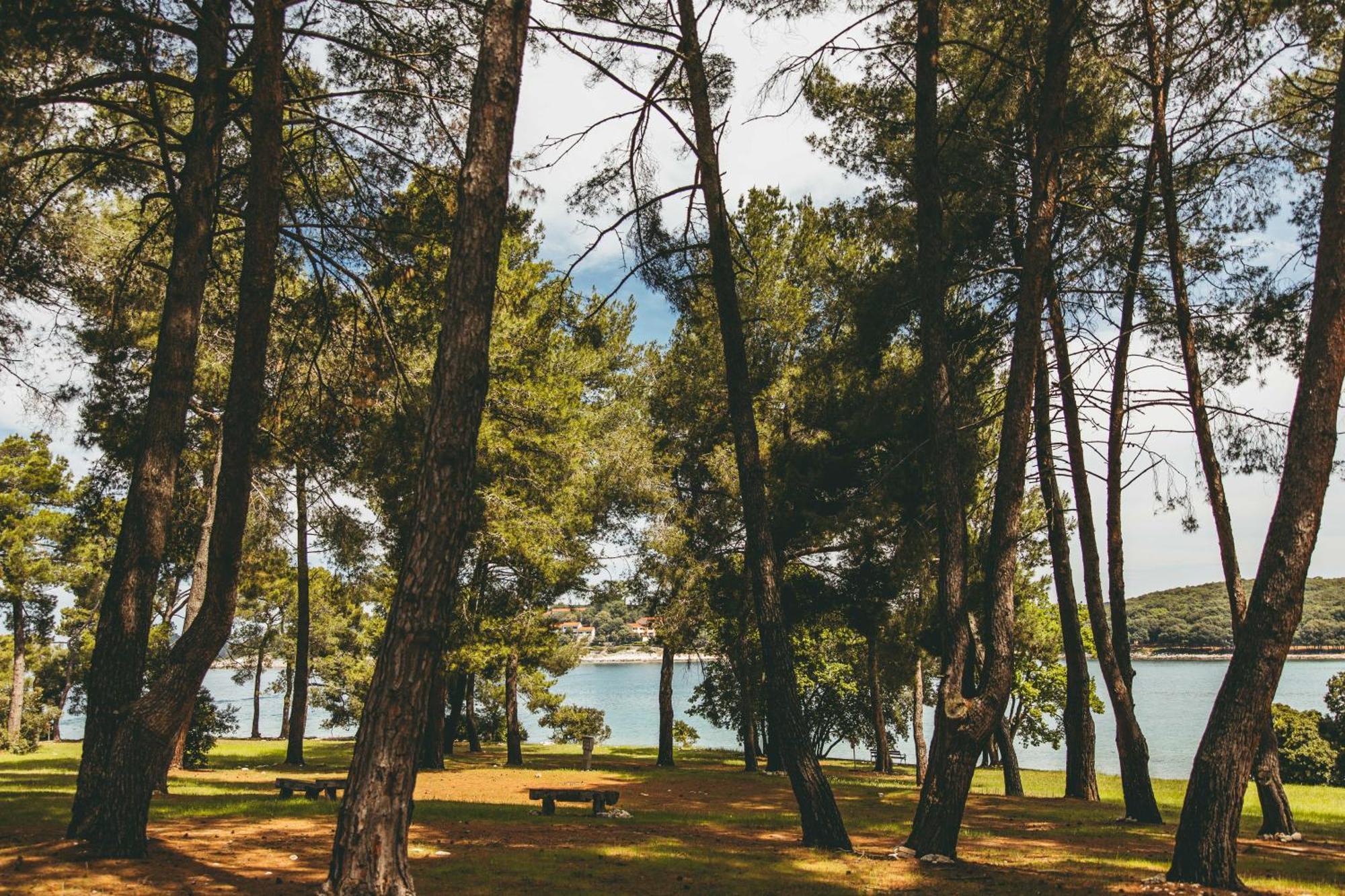Maistra Camping Koversada Uncovered Naturist Pitches Vrsar Ngoại thất bức ảnh